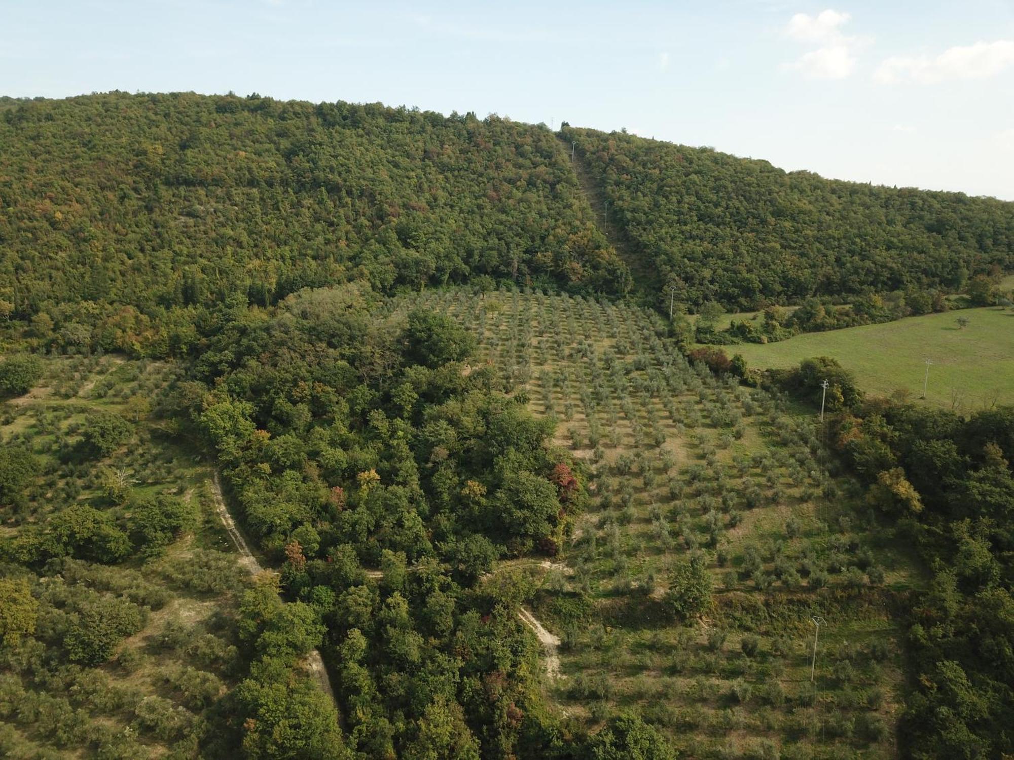 Fattoria Poggio Di Fiesole Villa Exterior foto