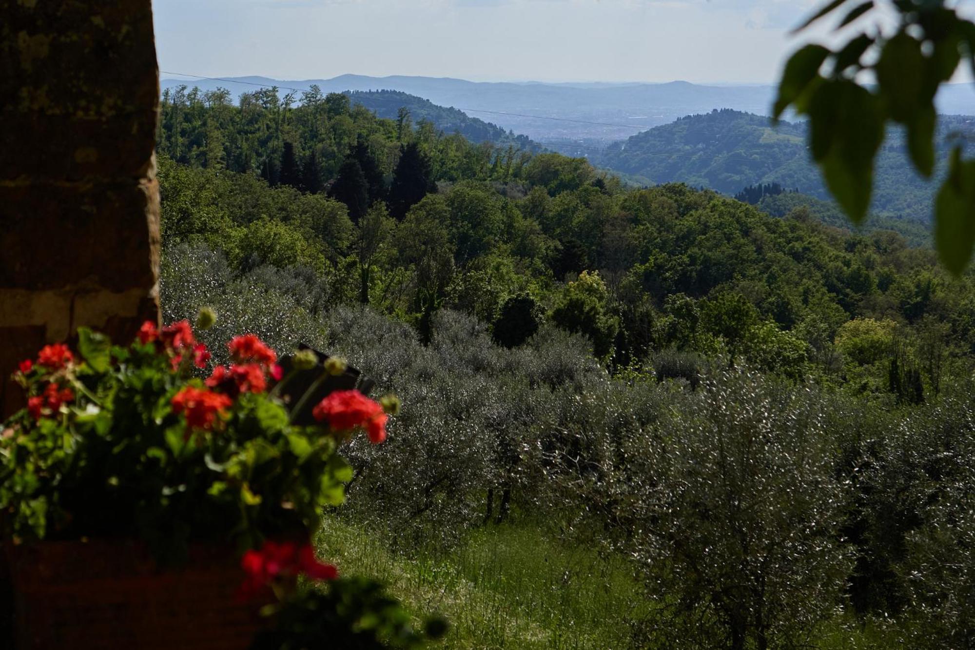 Fattoria Poggio Di Fiesole Villa Exterior foto